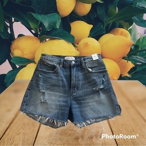 Abercrombie & Fitch Curve Love High-rise Shorts